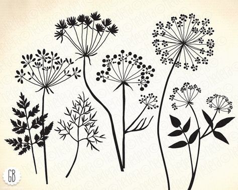 Welcome to GrafikBoutique shop! This collection of high quality hand drawn herb from Apiaceae (carrot, parsley) family silhouette vector images can be used for: – digital or paper scrapbooking – paper stationery (invitations, cards, labels, tags, wrapping paper, packaging) – home decor (pillows, towels, napkins) – fashion (t-shirts, totes, aprons) – other DIY projects The GrafikBoutique WILD FLORA (B) item includes 7 design elements x 2 colors. Total 28 separate digital files. Item details...