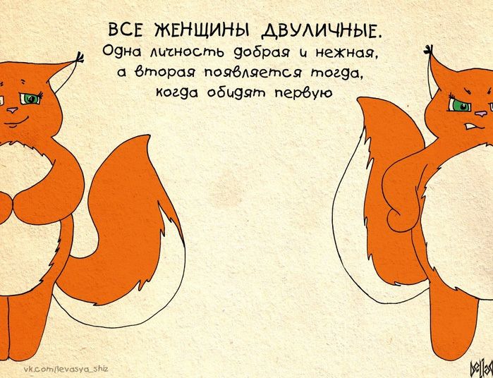 Смешные картинки с лисенком ши