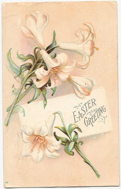 567 best Easter \ Spring Cards - 2 images on Pinterest - sample easter postcard template 567 best Easter \ Spring Cards - 2 images on Pinterest - sample easter postcard template