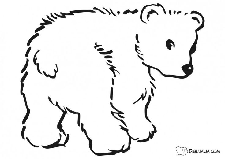 Oso pardo para colorear Oso pardo, Dibujos, Dibujos de osos