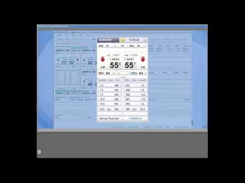 Forex trader pro platform bild 8