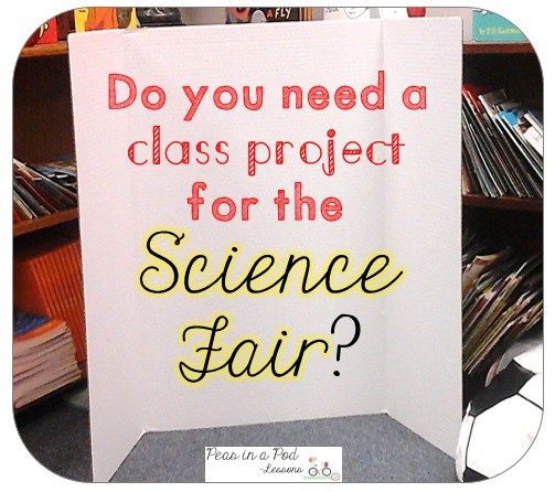 science projects layout