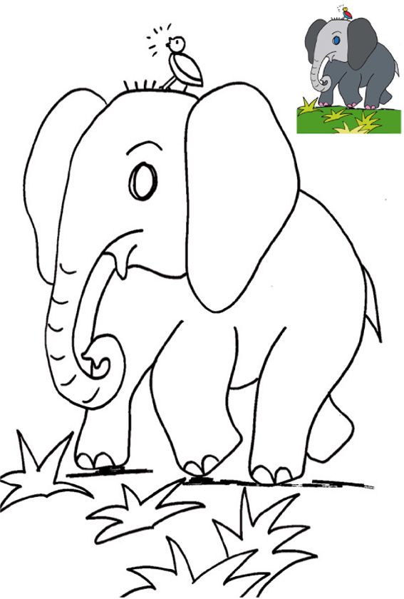 Imprimer Le Coloriage Elephant Avec Modele Tete A Modeler Coloriage Elephant Coloriage A Imprimer Imprimer Le Coloriage Elephant Avec Modele Tete A Modeler Coloriage Elephant Coloriage A Imprimer