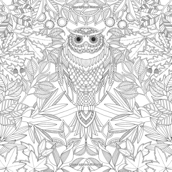 Secret Garden By Johanna Basford Published Laurence King Coloring Book Sample Page