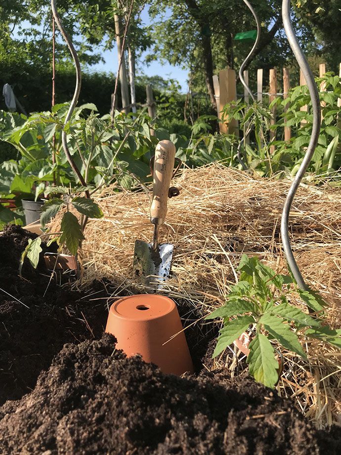 Bewässerungssystem Garten Selber Mache
n Tomaten (fast) ohne Gießen | Ollas zur Beet-Bewässerung selber machen