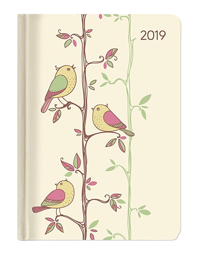 FINCH SCARICA