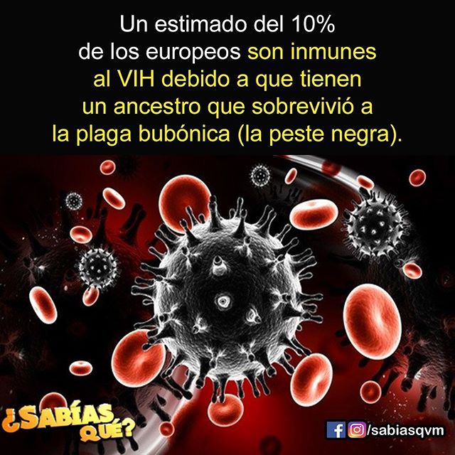 Pin En Sabias Que