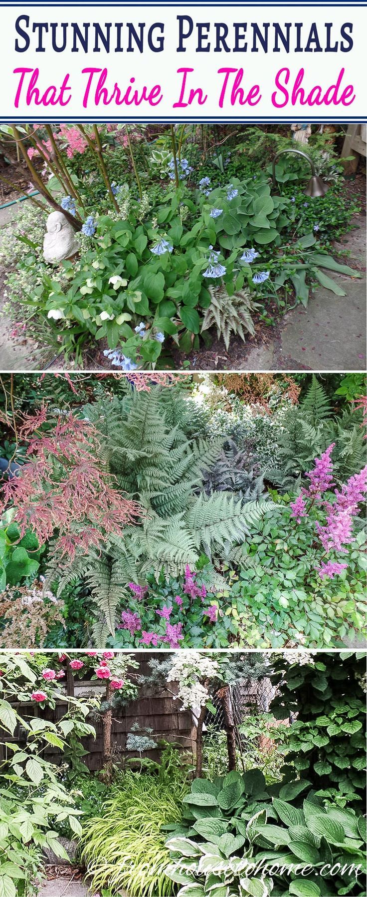 15 Stunning Perennial Ground Cover Plants That Thrive In The Shade I Love These Beautiful Flowering Perennial Ground Cover Plants Will Be Planting Them Under The Bushes In My Front Yard To Help Keep Weeds Down