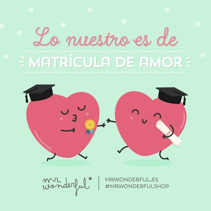 Resultado de imagen de mr wonderful