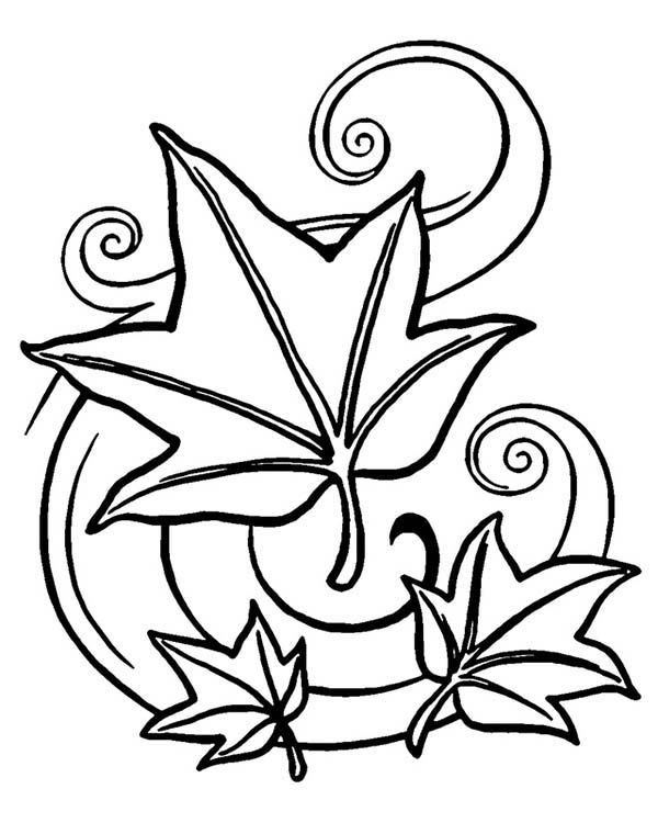 fall leaf on autumn coloring sheets