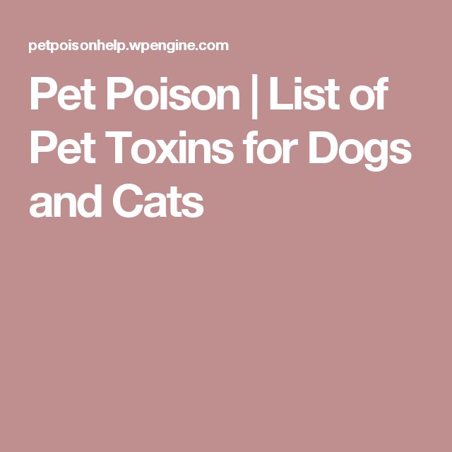 Common Poison List Pet Poison Helpline Pet Poison Pets Cat Hacks common-poison-list-pet-poison-helpline-pet-poison-pets-cat-hacks