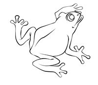 large selection of free frog coloring pages frog drawings and some frog connect the dots