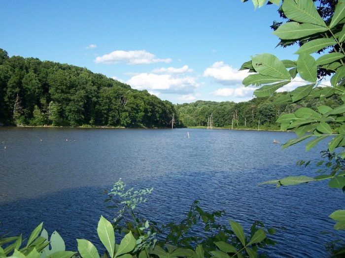 Homes For Sale Near Salt Fork Lake Ohio Homes For Sale Near Salt Fork Lake Ohio
