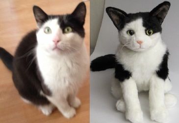 Custom Made Cat Stuffed Animals Custom Made Cat Stuffed Animals