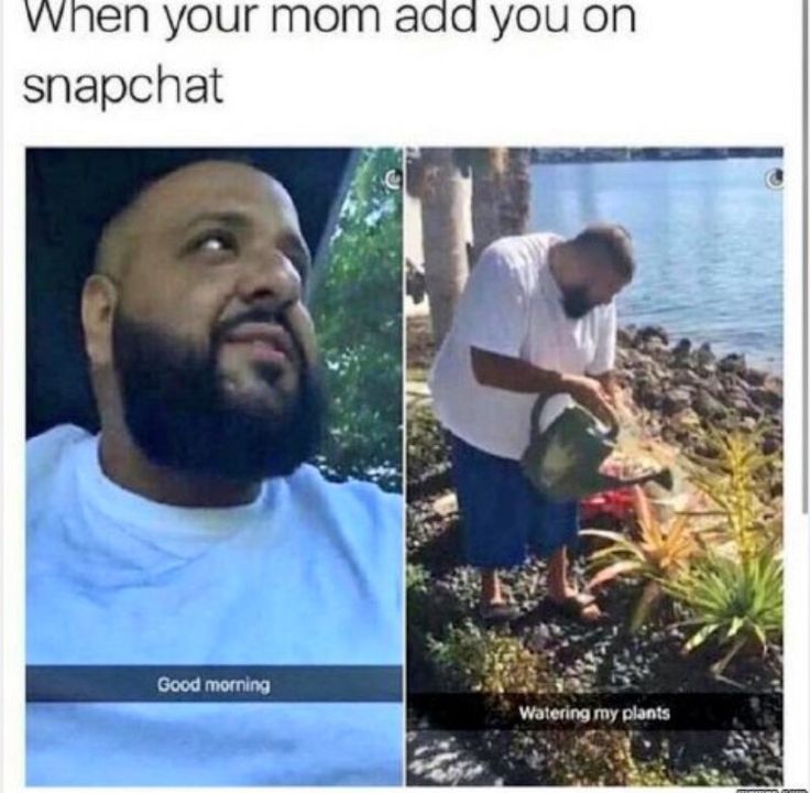 Pin By Havala Stanley On Funny Funny Relatable Memes Funny Memes
