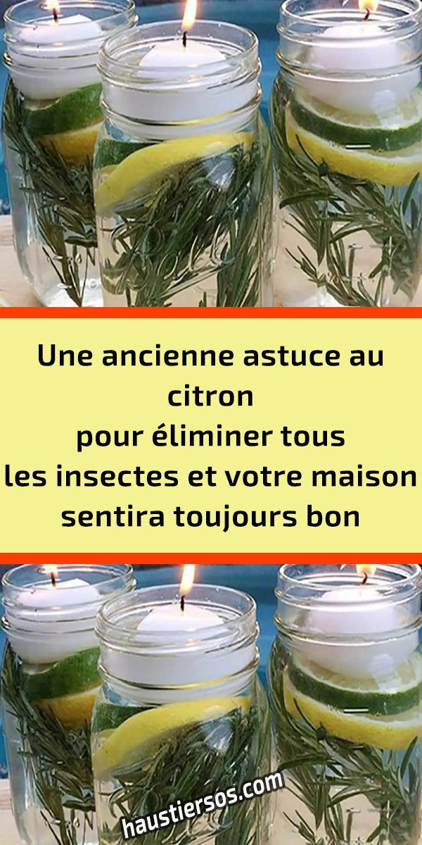 Une ancienne astuce au citron pour éliminer tous les insectes et votre  maison …  Remèdes naturels faits maison, Produit de nettoyage faits maison,  Remèdes naturels