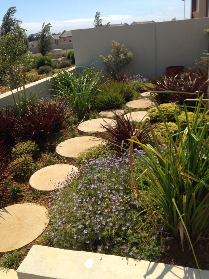 Show house front garden scattered plants | Garden landscaping, Front