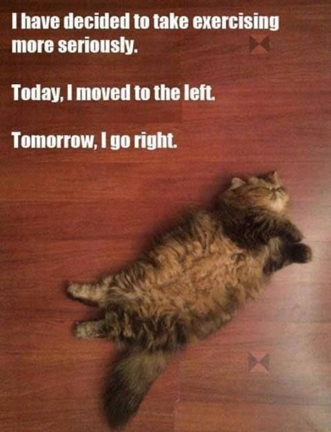 55 best funny chronic illness memes images on pinterest chronic cd715cd5e157d98ca62835c7480d41d4 funny quotes and sayings random quotes 55 best funny chronic illness memes images on pinterest chronic,Positive Chronic Illness Memes
