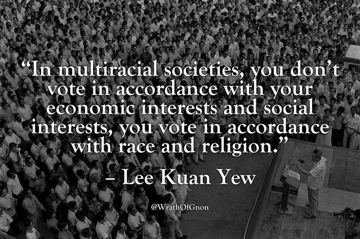 WrathOfGnon | Philosophy quotes, Some quotes, Lee kuan yew quotes