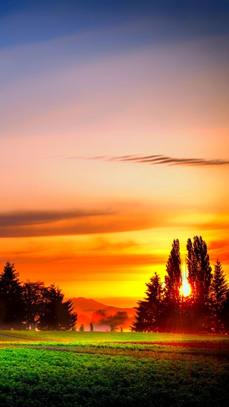 Beautiful Sunrise Earth Sunrise earth field landscape nature Pakistan sunrise tree (1080x1920) Mobile Wallpaper Beautiful Sunrise Earth Sunrise earth field landscape nature Pakistan sunrise tree (1080x1920) Mobile Wallpaper Beautiful Sunrise Earth Sunrise earth field landscape nature Pakistan sunrise tree (1080x1920) Mobile Wallpaper Beautiful Sunrise Earth Sunrise earth field landscape nature Pakistan sunrise tree (1080x1920) Mobile Wallpaper