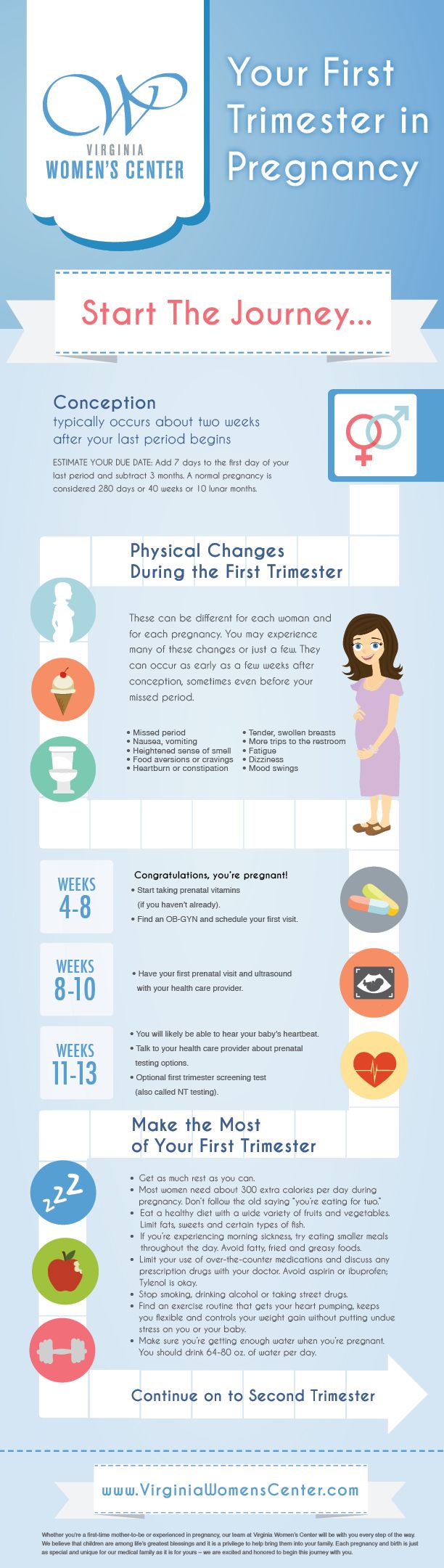 Your First Trimester in Pregnancy | Virginia Women's Center Blog