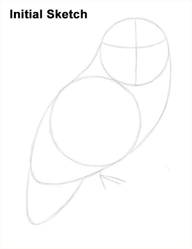 How to Draw a Snowy Owl | Owls drawing, Owl drawing simple ...