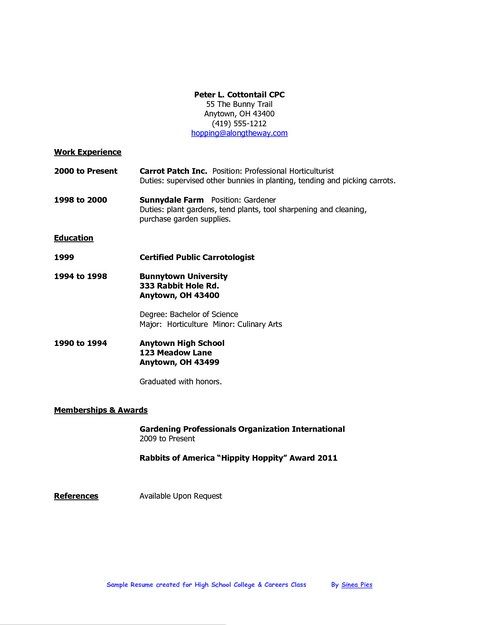 8 best Student Resume Templates images on Pinterest Student - example of a college student resume 8 best Student Resume Templates images on Pinterest Student - example of a college student resume