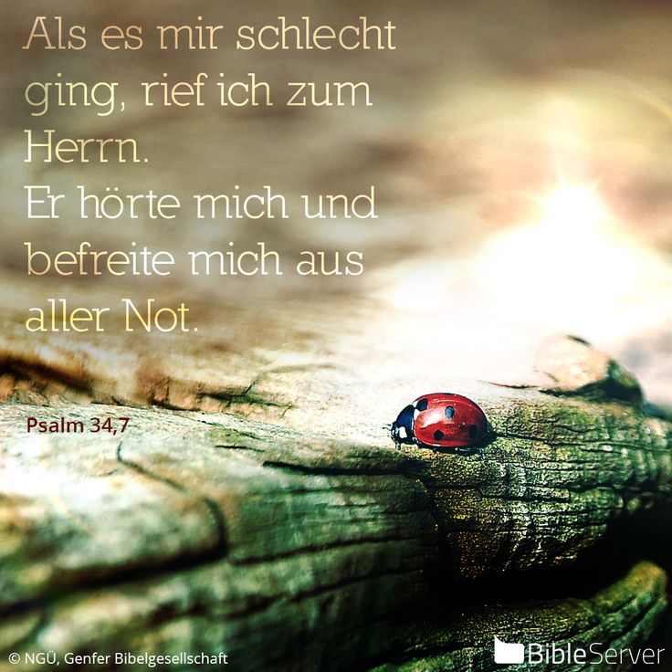 Christliche frau, die nicht vorwärts ist