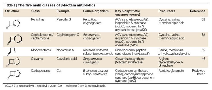 Regulation and biosynthesis of carbapenem antibiotics in bacteria - histology assistant sample resume Regulation and biosynthesis of carbapenem antibiotics in bacteria - histology assistant sample resume