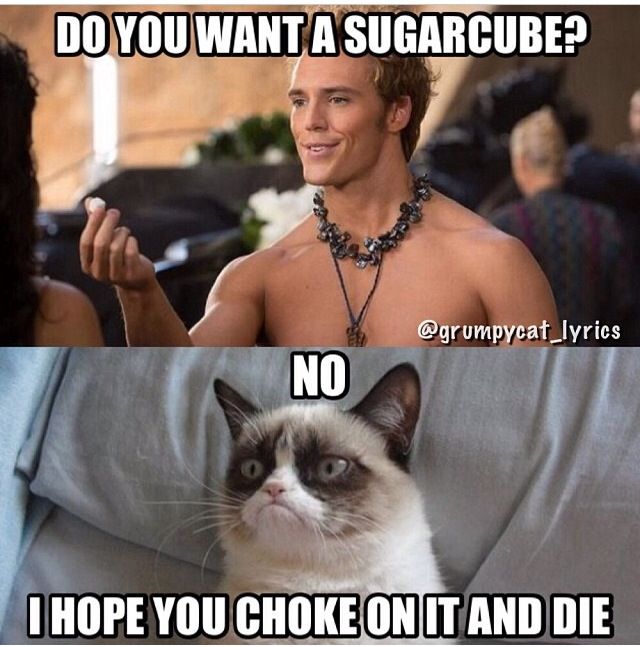 best 20 catching fire funny ideas on pinterest frozen disney cdcc9e66629bc05a0c3da71462ced807 angry cat cat memes best 20 catching fire funny ideas on pinterest frozen disney,Start A Fire Meme