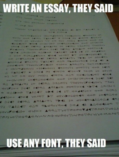 Write my essay w