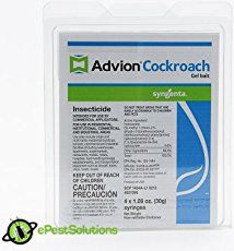 Best 25+ Roach killer ideas only on Pinterest | Roach remedies ... Best 25+ Roach killer ideas only on Pinterest | Roach remedies ...
