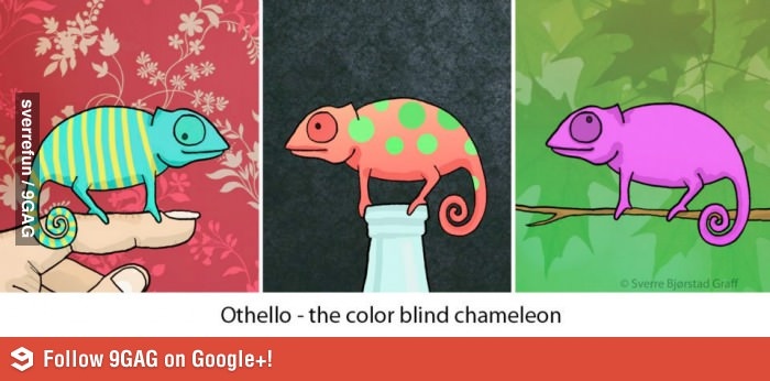 Are Chameleons Color Blind