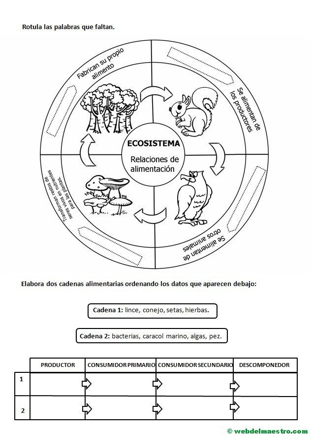 Ecosistema Cuadernos Interactivos De Ciencias Prueba De