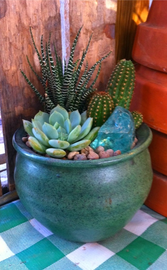 Small Cactus Garden Design garden design with indoor gardening for kids u cactus garden u a mother thing with landscaping Find This Pin And More On Terrarium Mini Cactus Gardens Small Cactus Garden Design landscaping small front landscape southwestern with low garden walls pot plants Find This Pin And More On Terrarium Mini Cactus Gardens