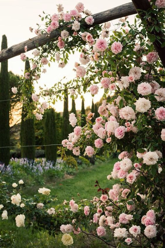 Click to find inspiration in these amazing garden ideas
