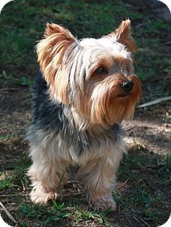 Top bewertete Videos von Tag: texas patti Top bewertete Videos von Tag: texas patti