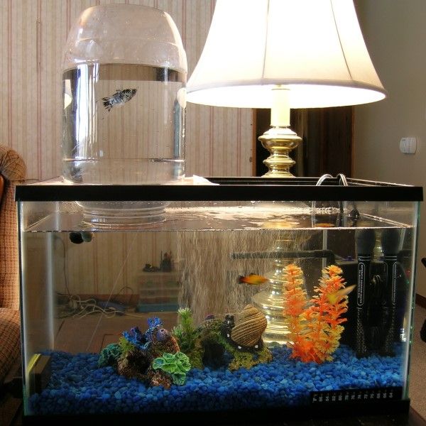 diy aquarium expansion tower