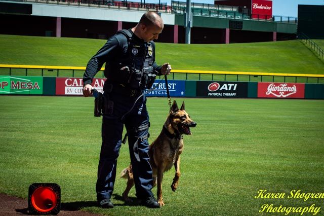 Phoenix Police Department S K9 Team At The 2018 Desert Dog K9