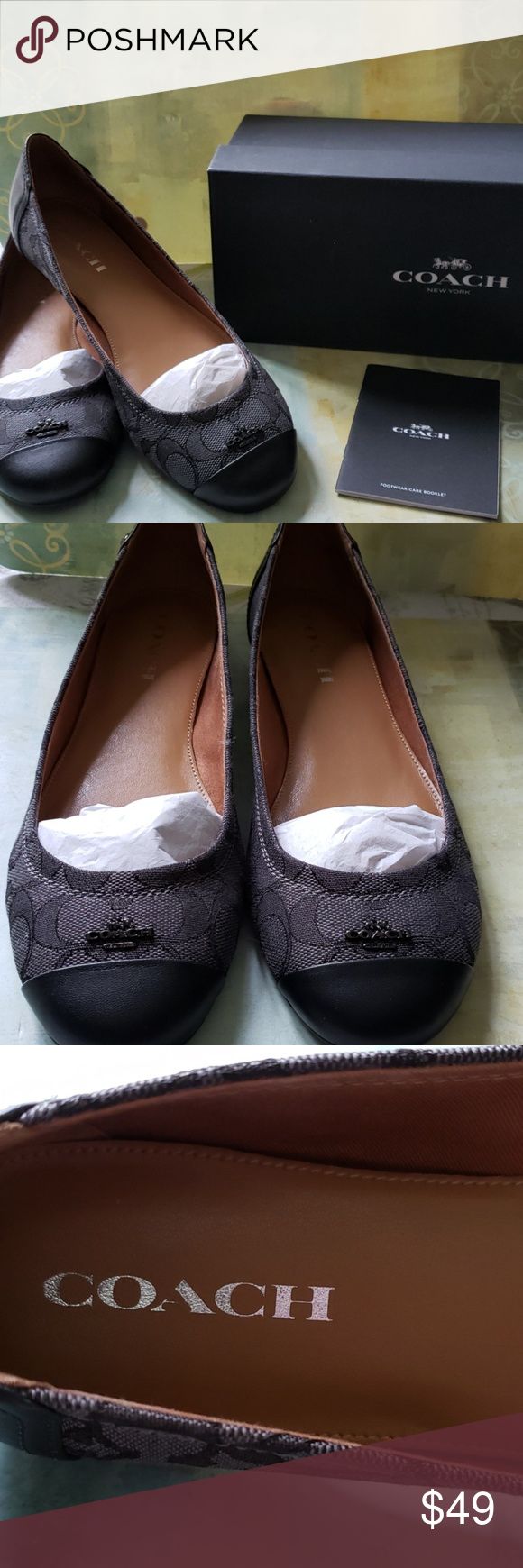 coach flat sneakers
