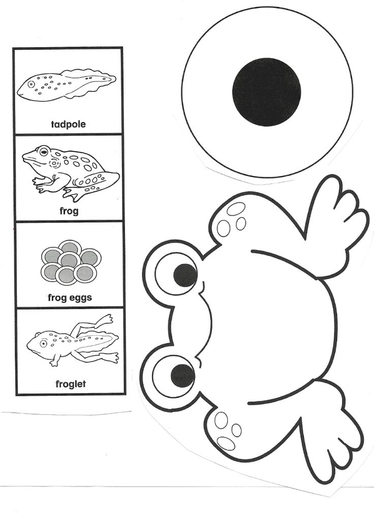 Frosch Arbeitsblätter