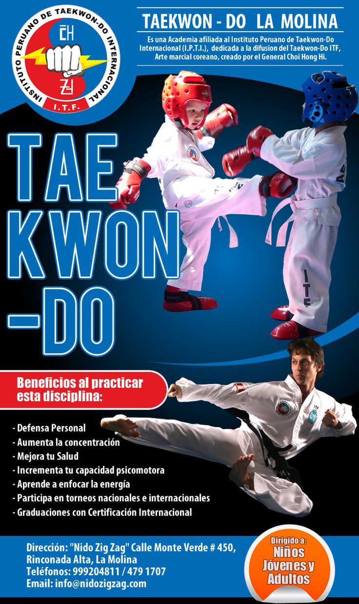 diseño de flyer para campaña de correos masivos tae kwon in design flyer template