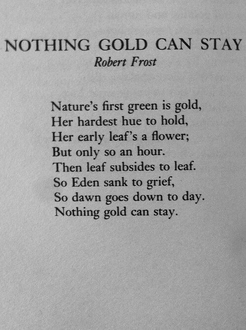 an overview of the poem come in by robert frost an overview of the poem come in by robert frost