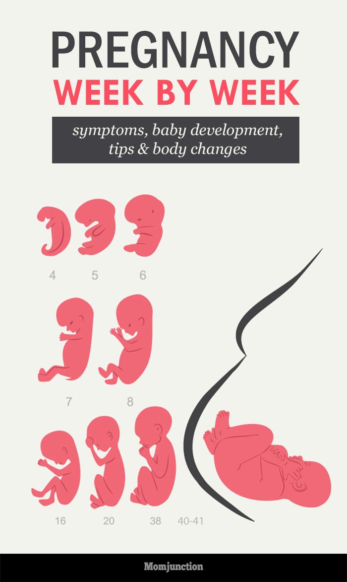 168 best pregnancy week by week images on pinterest belly size during pregnancy chart