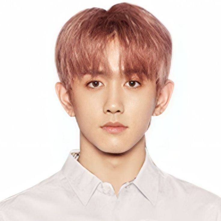 takata mashiho selebritas takata mashiho selebritas