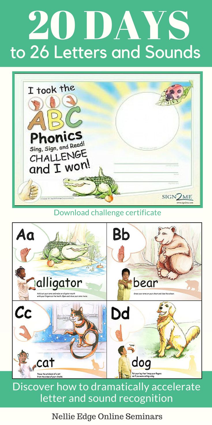 Worksheet Learn Phonics Online best 25 abc phonics ideas on pinterest sounds 26 letters and sounds