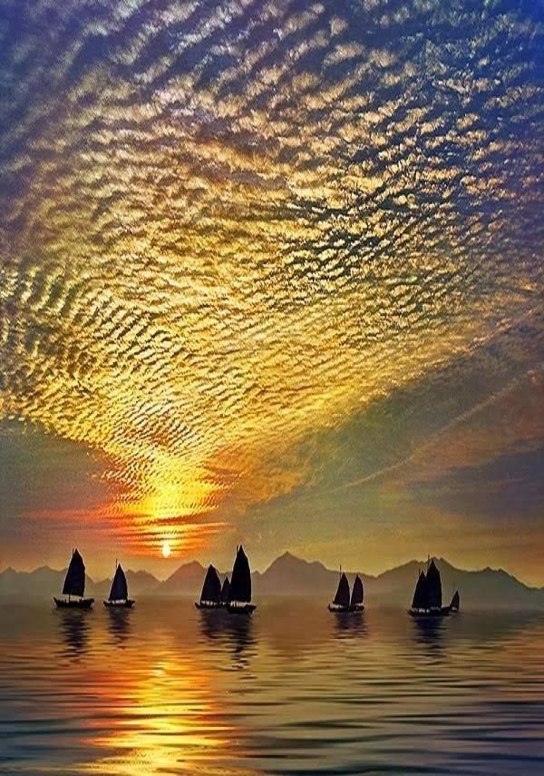 sailboats band best 25 sailboats ideas on pinterest sailboat sailing sailboats band best 25 sailboats ideas on pinterest sailboat sailing