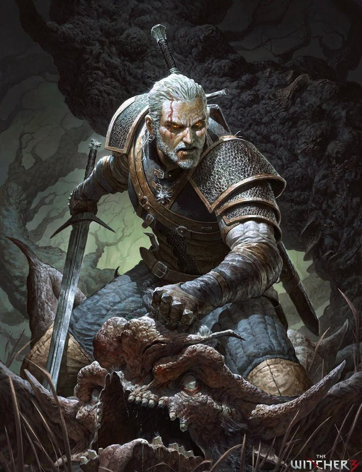 56 best witcher images on pinterest character design armors and here is a piece i did for cd projekt red last year for the witcher 3 wild hunt the witcher 3 wild hunt