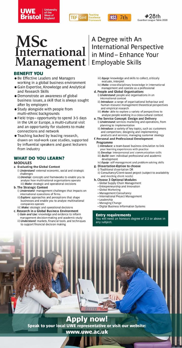 MSc International Management Msc Management Global Business msc-international-management-msc-management-global-business