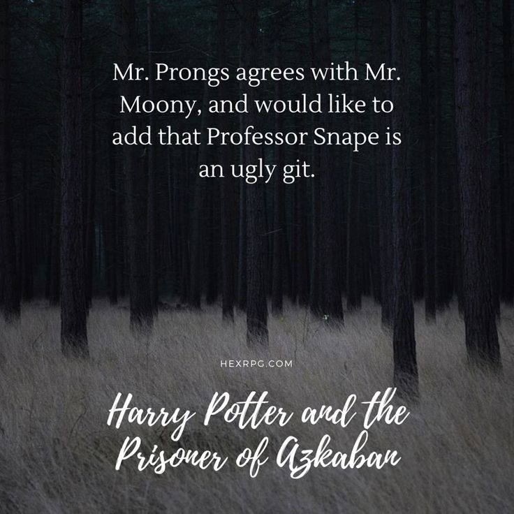 Hogwarts Extreme | The Interactive Harry Potter Experience | Snape